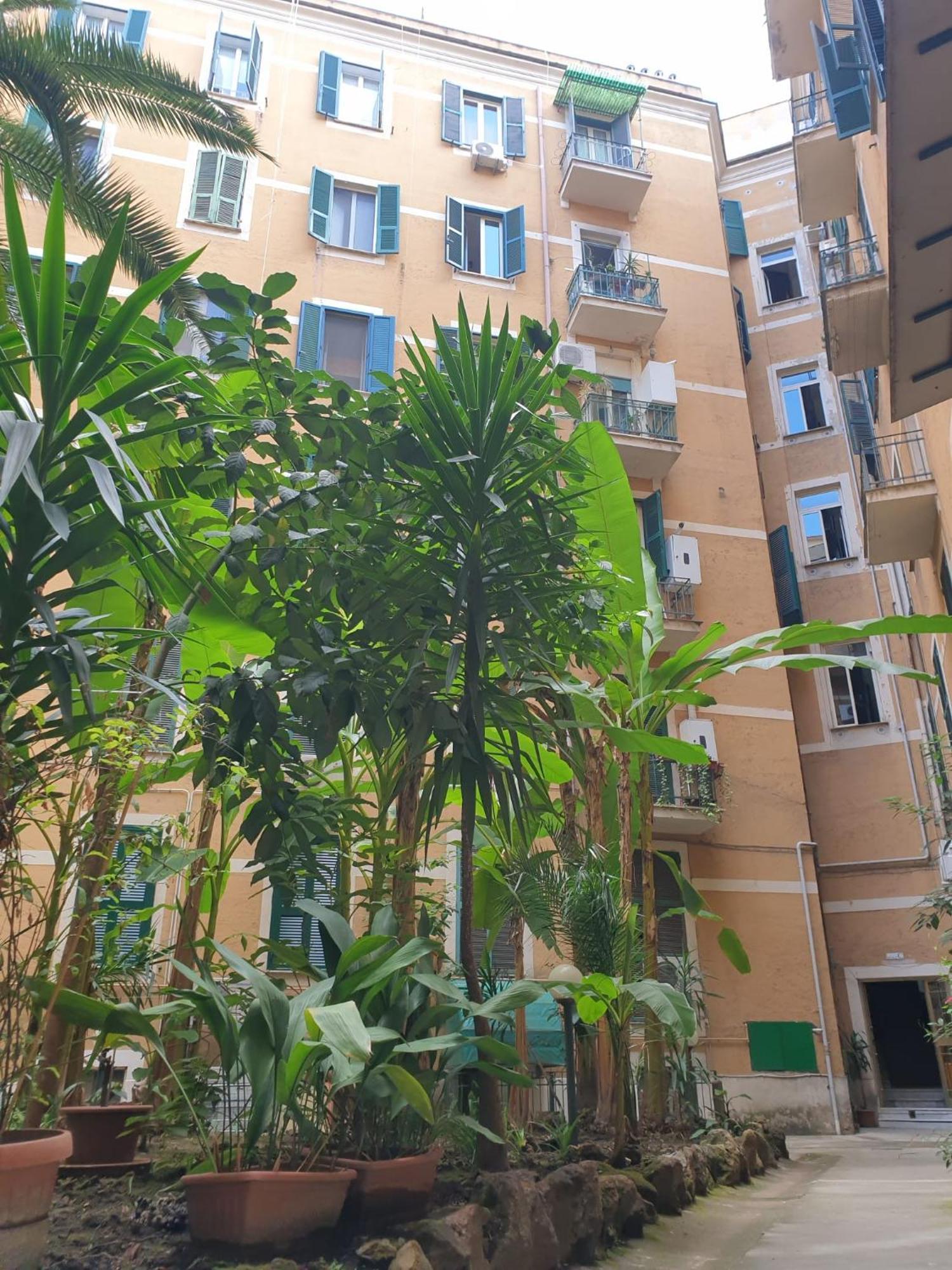Near To Colosseum Re-house Rom