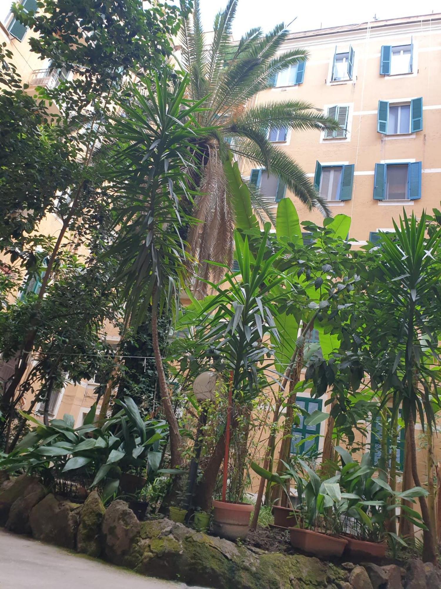 Near To Colosseum Re-house Apartment Rom