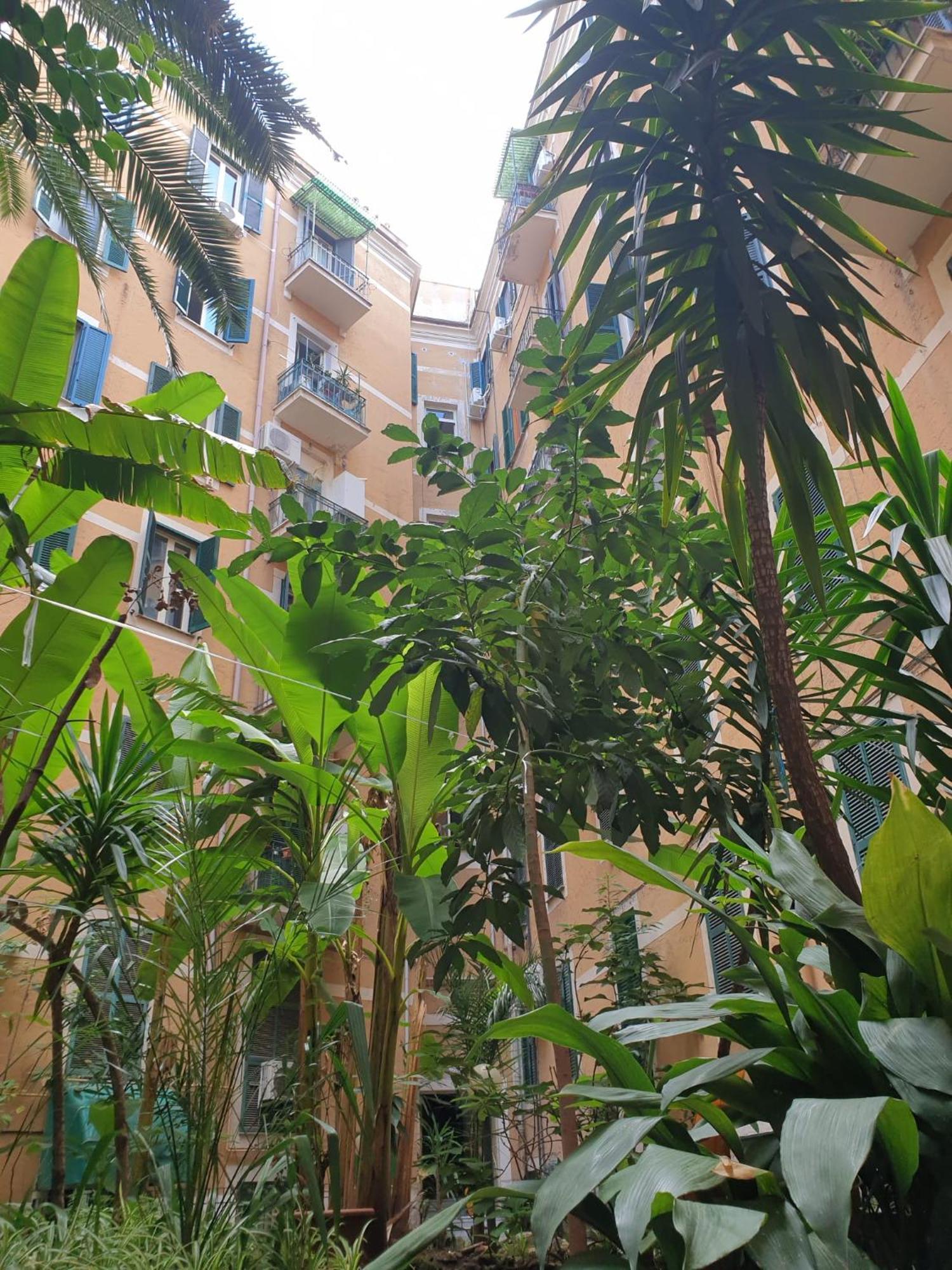 Near To Colosseum Re-house Apartment Rom